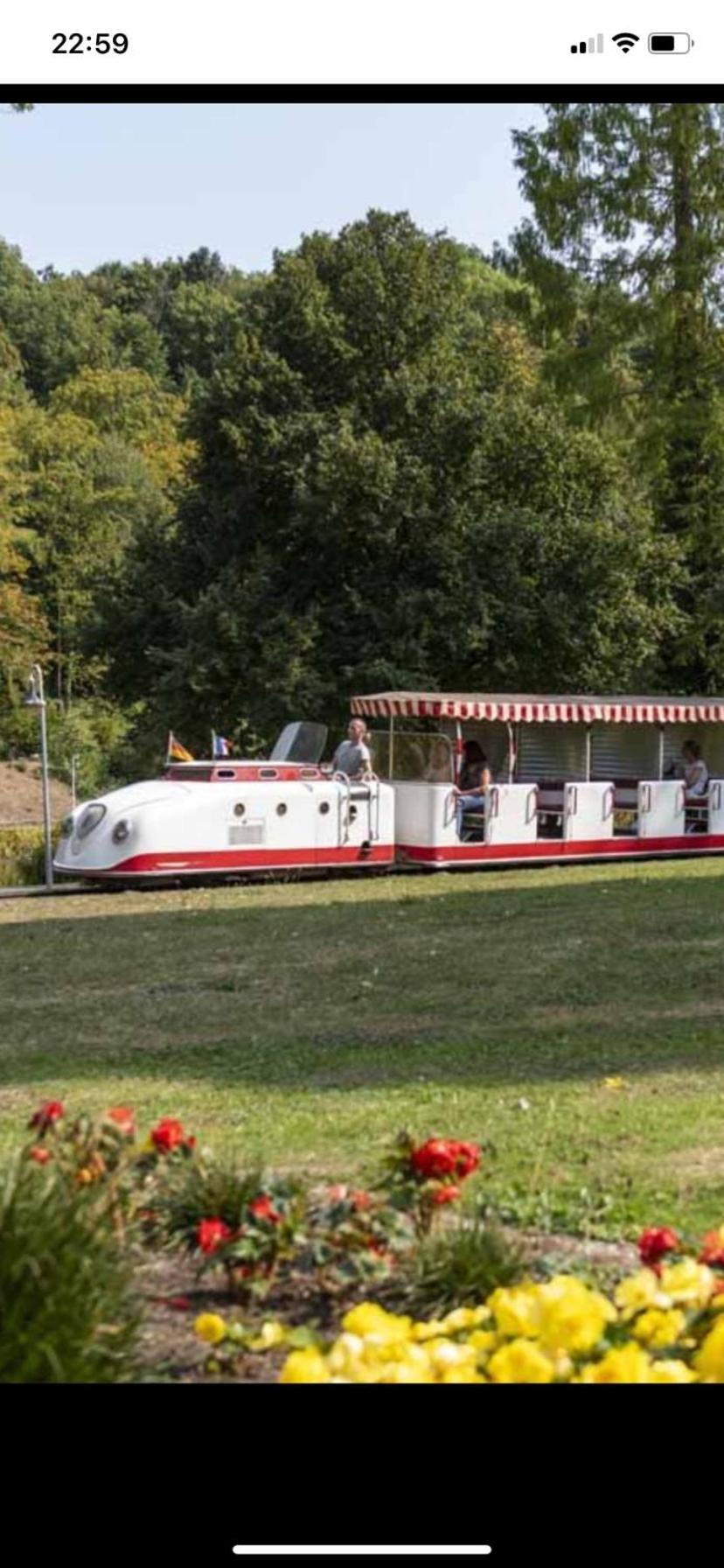 In Saarbruecken Stadtnahe Gemuetliche Wohnung Am Deutsch-Franzoesischen Garten エクステリア 写真